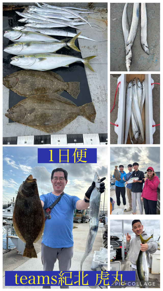 メジロ(ブリ)・タチウオ・ヒラメ