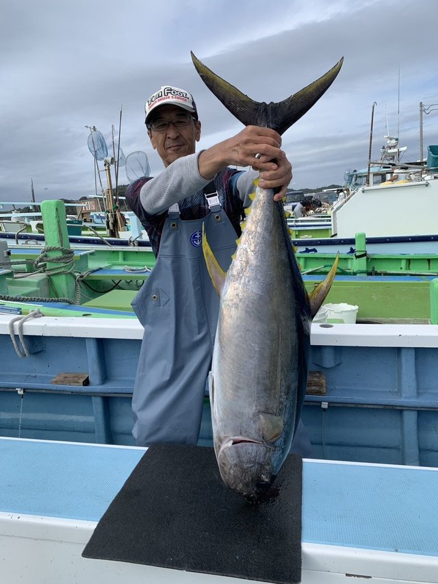 キハダマグロ(キハダ)