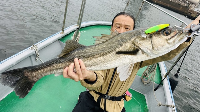 シーバス(スズキ)