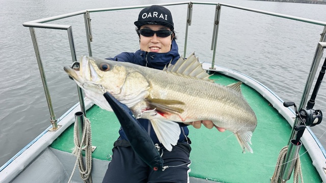 シーバス(スズキ)