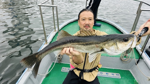 シーバス(スズキ)