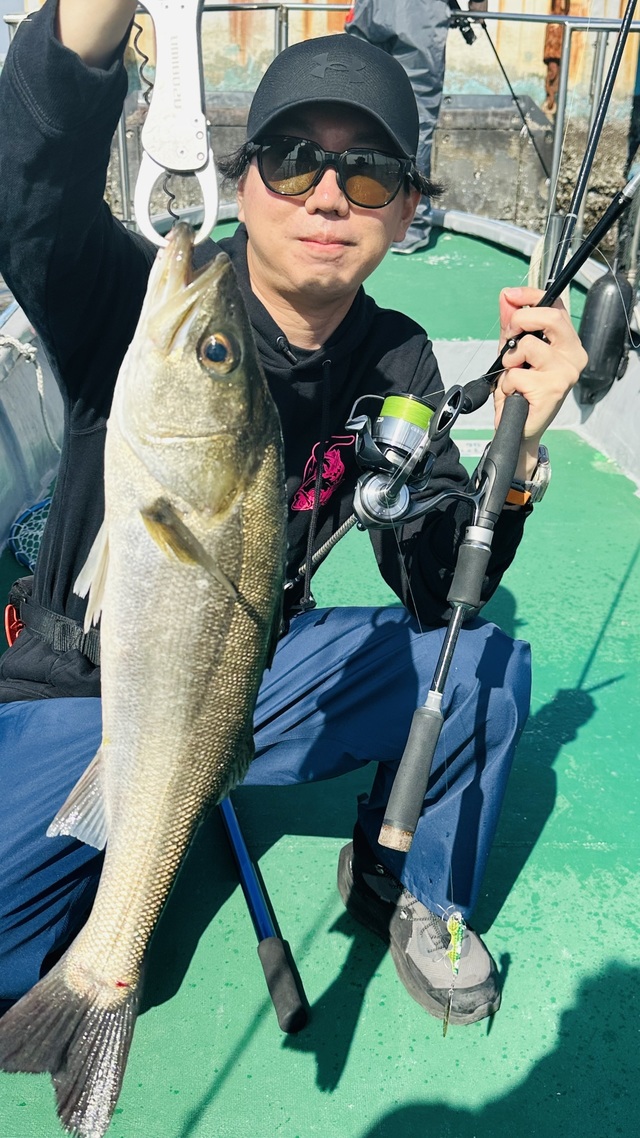 シーバス(スズキ)