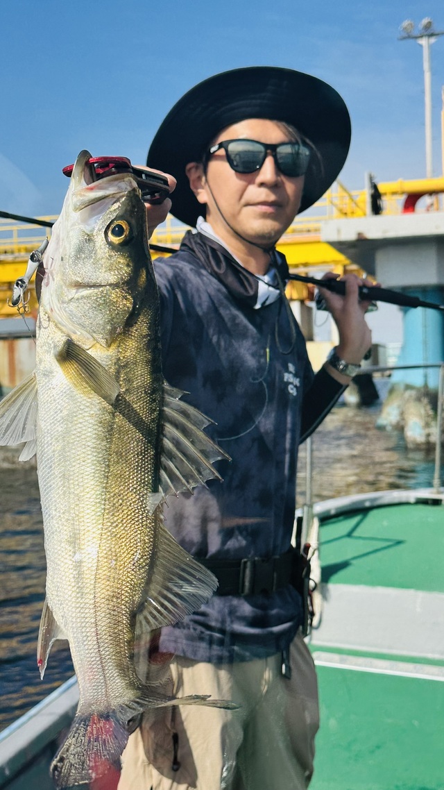 シーバス(スズキ)