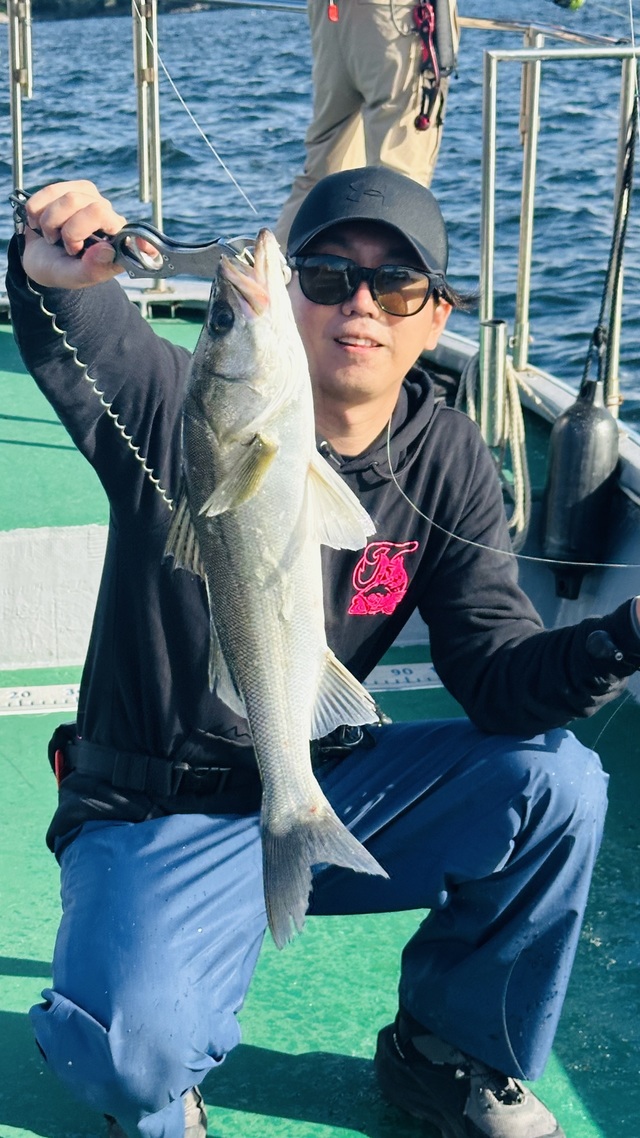 シーバス(スズキ)