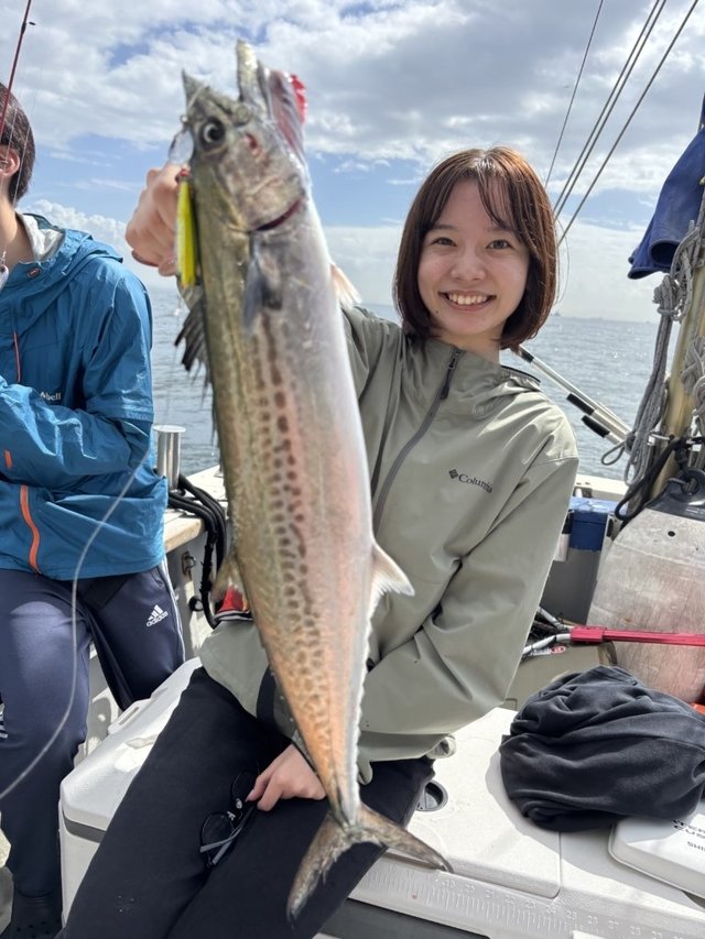 サゴシ(サワラ)