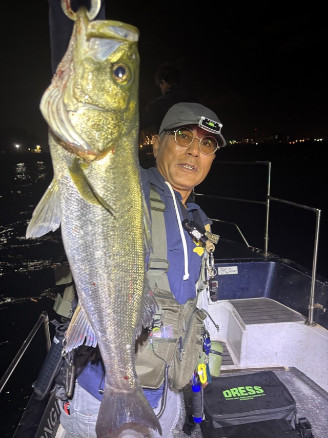 シーバス(スズキ)