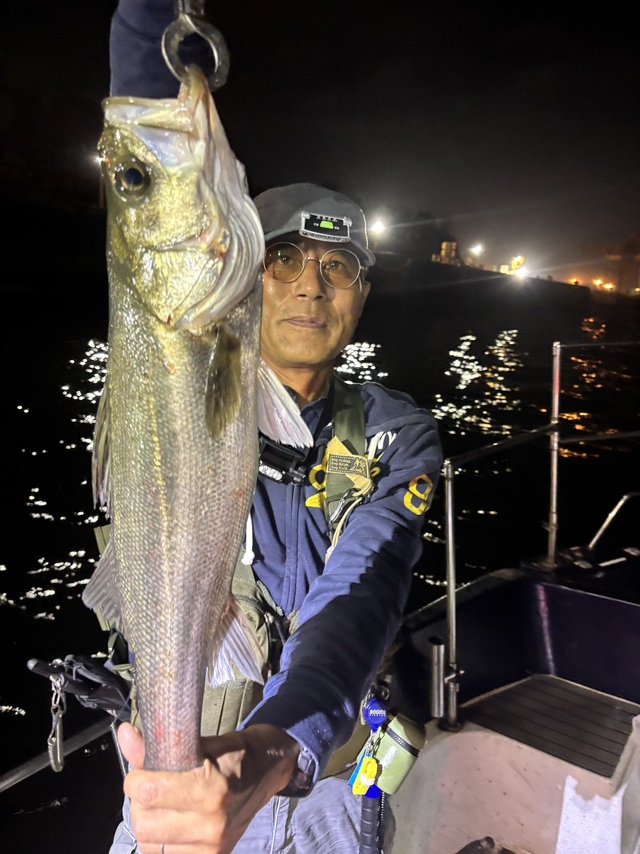 シーバス(スズキ)