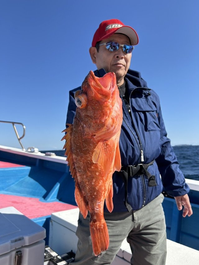 ウッカリカサゴ