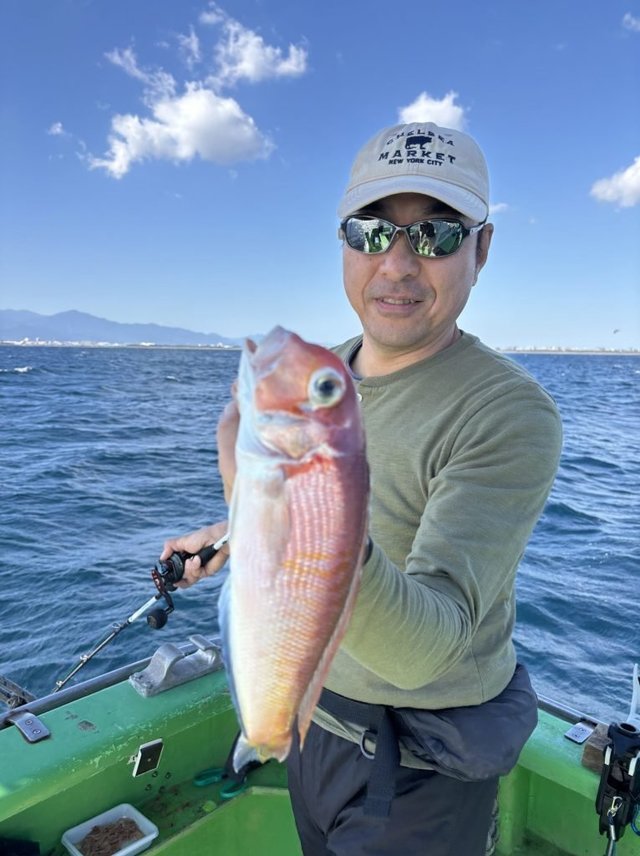 アマダイ(アカアマダイ)