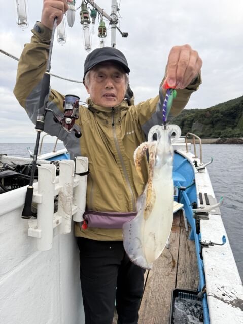 アオリ(アオリイカ)