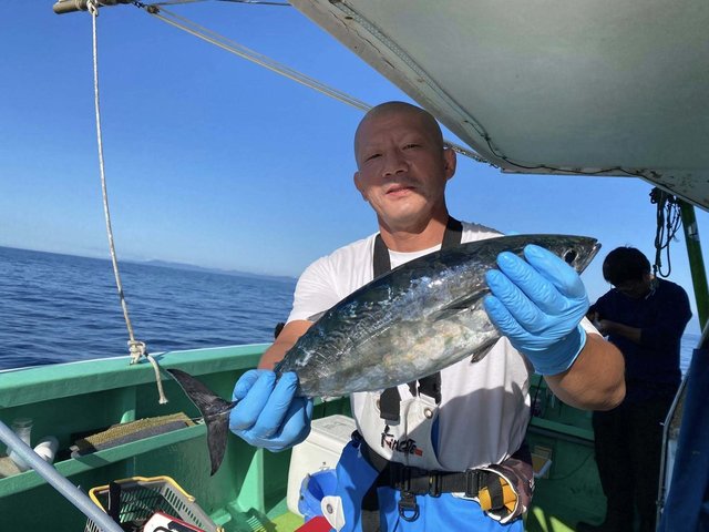 ヒラソーダ(ヒラソウダ)