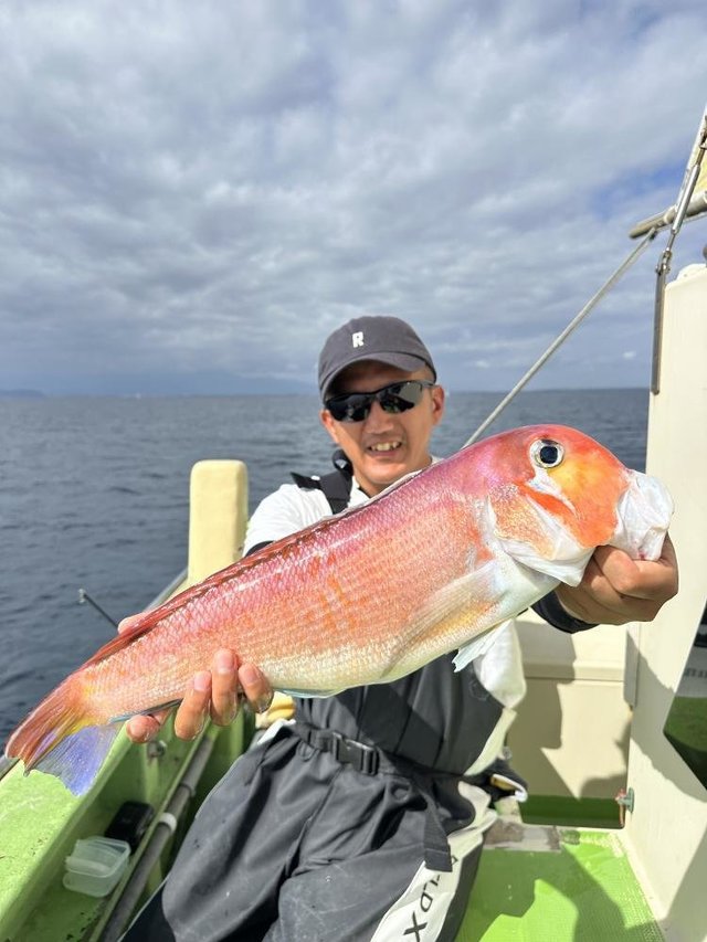 アマダイ(アカアマダイ)