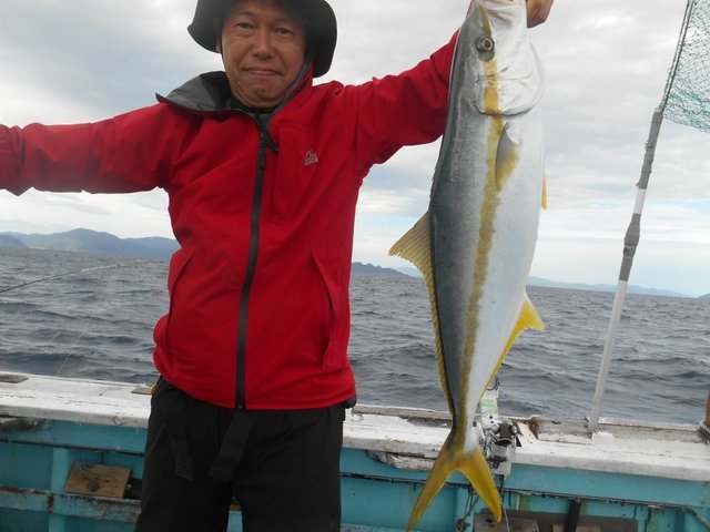 ヒラマサ