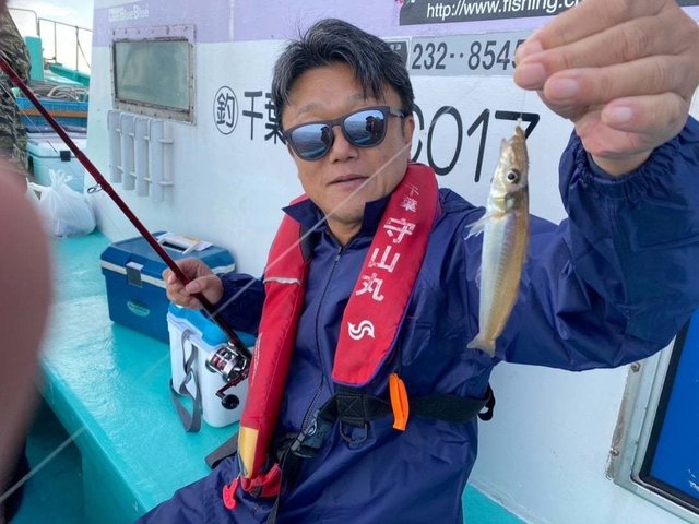 キス(シロギス)