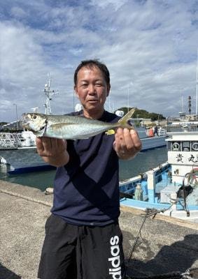 アジ(マアジ)