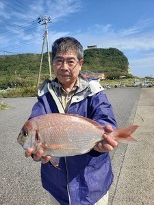 ハナダイ(チダイ)