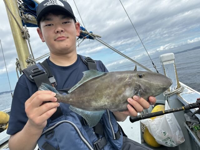 ウマヅラ(ウマヅラハギ)