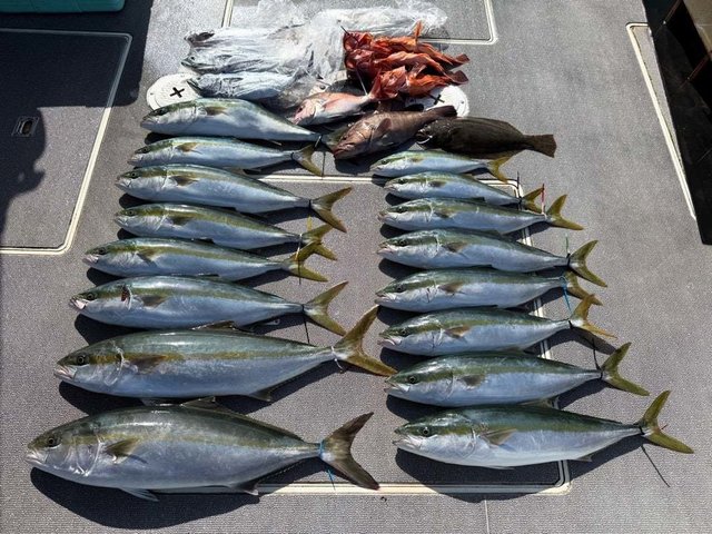 マダイ・ハマチ(ブリ)・カサゴ・ヒラメ