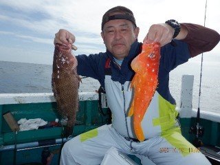 オオモンハタ・アカムツ