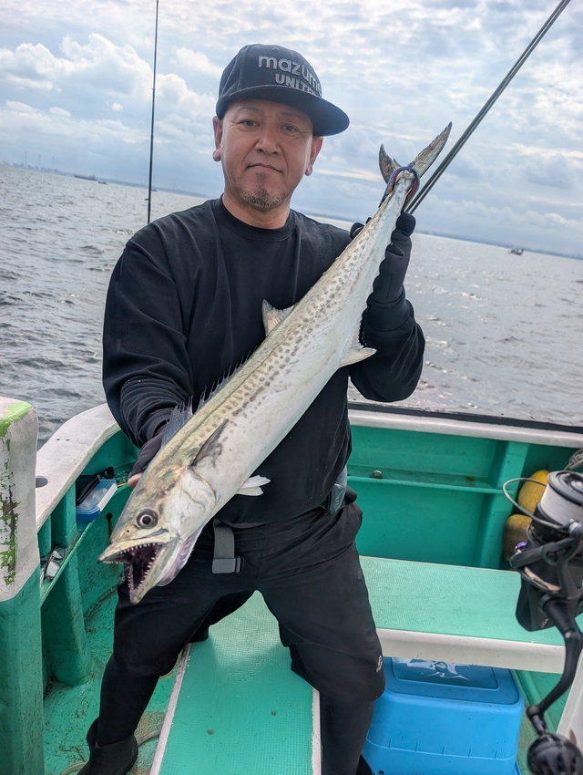 サゴシ(サワラ)