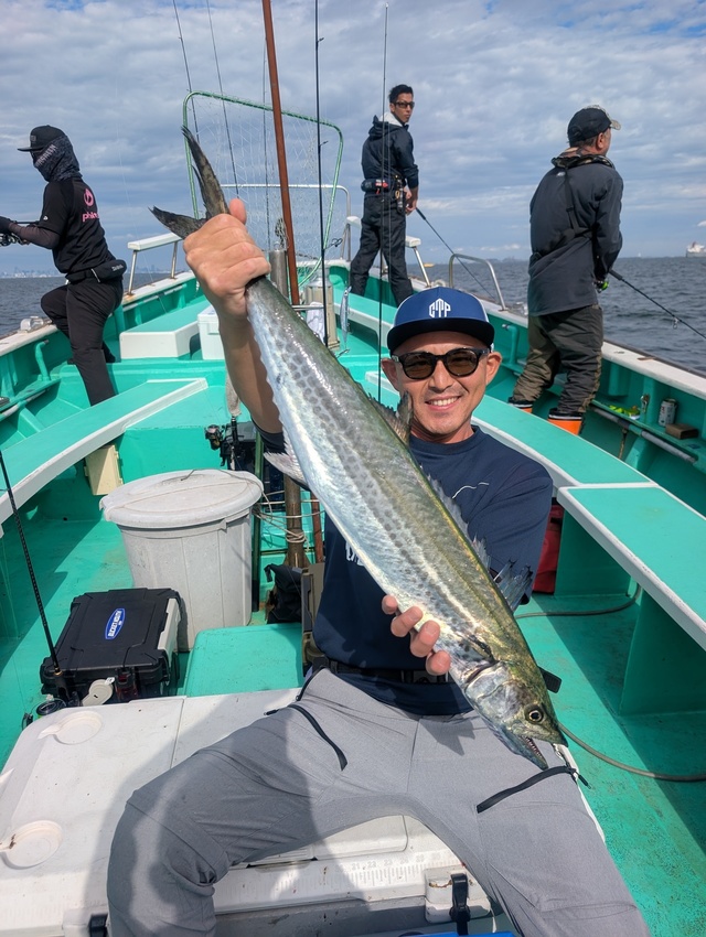 サゴシ(サワラ)