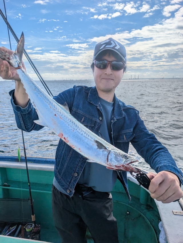 サゴシ(サワラ)