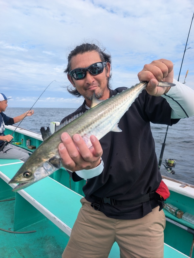 サゴシ(サワラ)