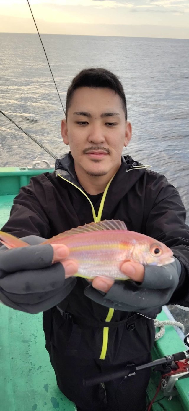 イトヨリ(イトヨリダイ)