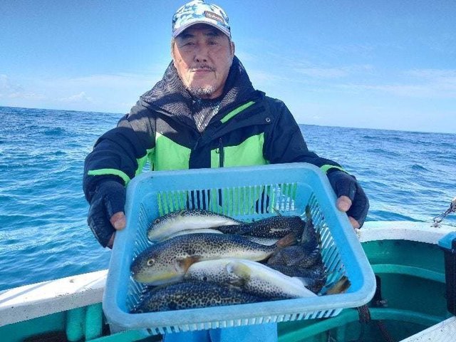 ショウサイフグ