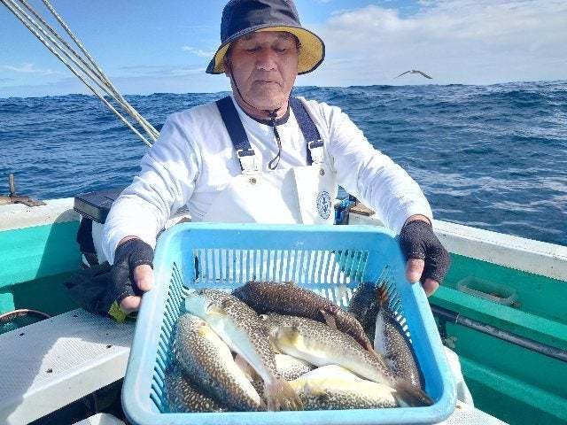 ショウサイフグ