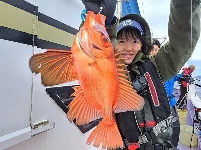 キントキ(チカメキントキ)