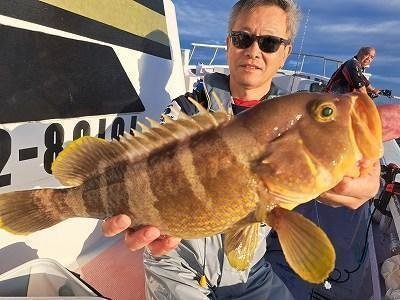 ハタ(アオハタ)