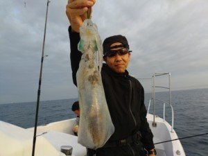 モンゴウイカ(カミナリイカ)