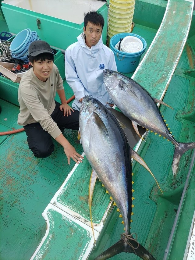 マグロ(キハダ)