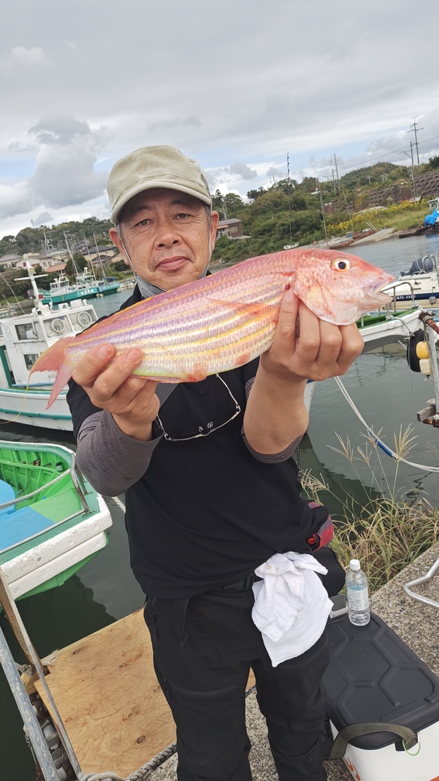 イトヨリ(イトヨリダイ)