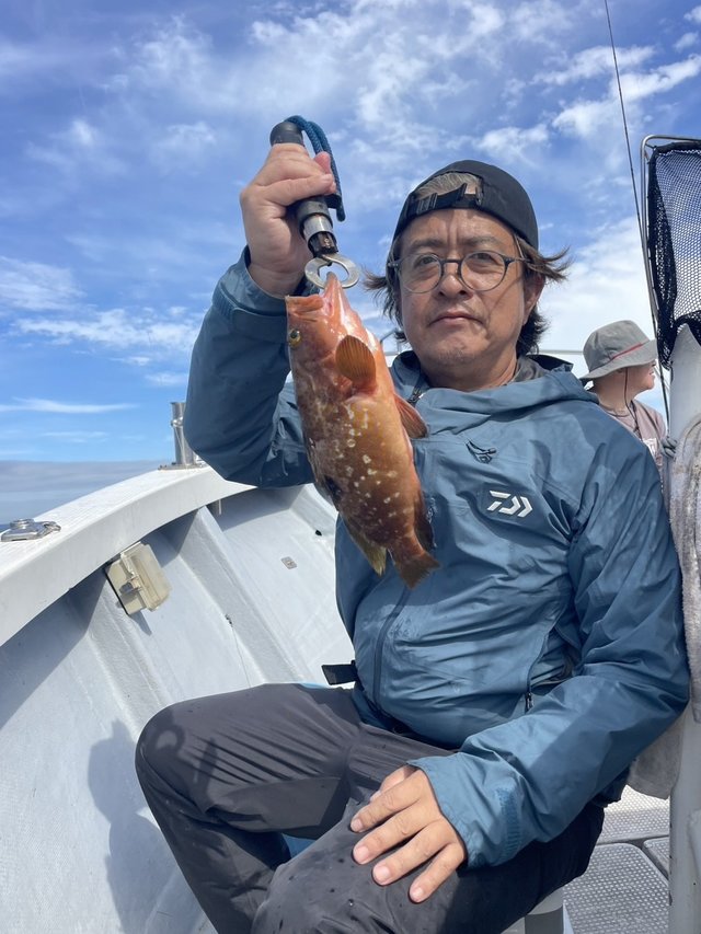 アコウ(キジハタ)