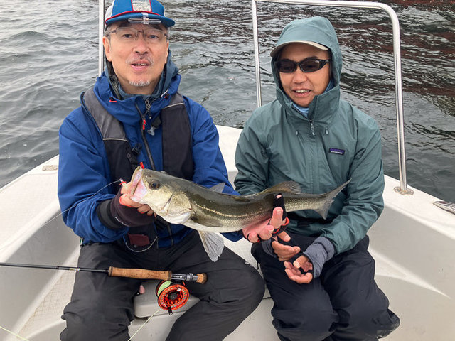 シーバス(スズキ)