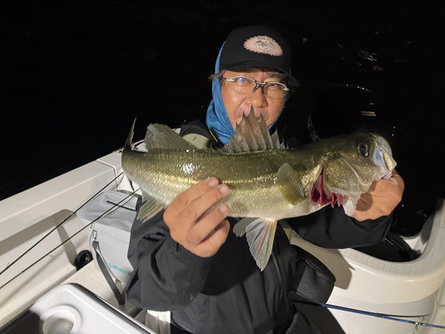 シーバス(鱸)木彫り　体長77cm シーバス(鱸)木彫り 体長77cm シーバス(鱸)木彫り 体長77cm