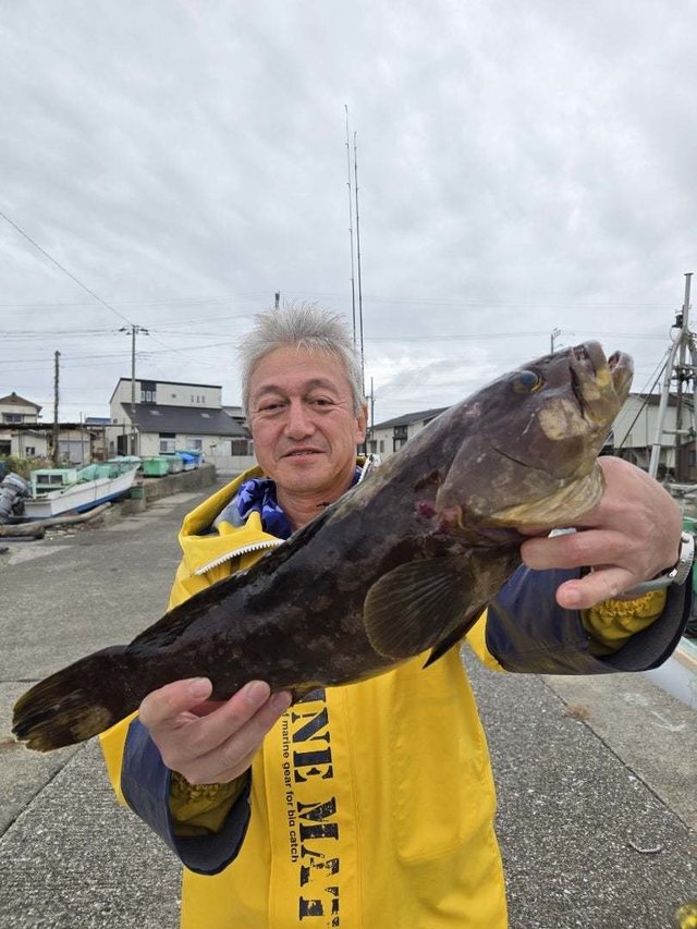 イシナギ(オオクチイシナギ)