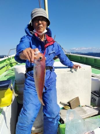 アマダイ(アカアマダイ)