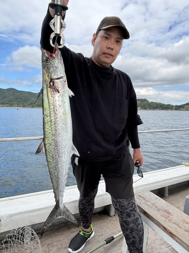 サゴシ(サワラ)