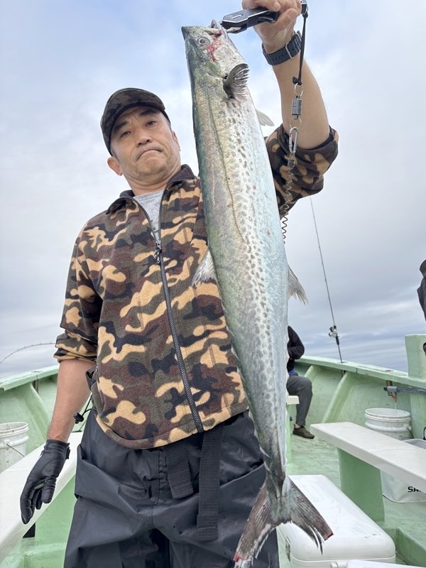 サゴシ(サワラ)