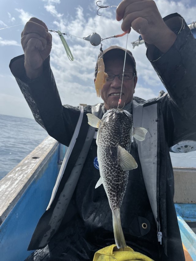 ショウサイフグ