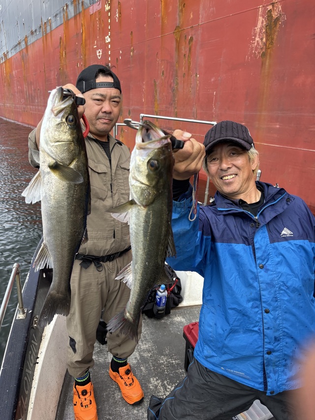 シーバス(スズキ)