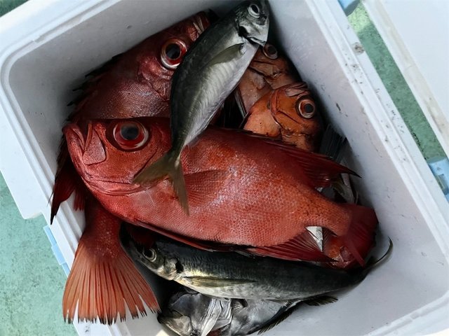 チカメキントキ