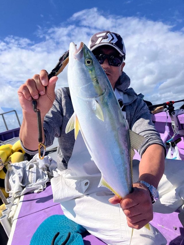 イナワラ(ブリ)