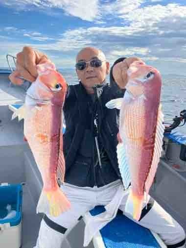 アマダイ(アカアマダイ)