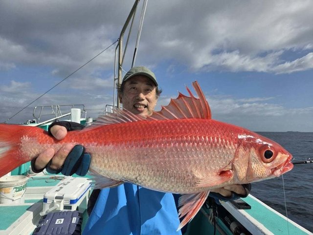 オナガダイ(ハマダイ)