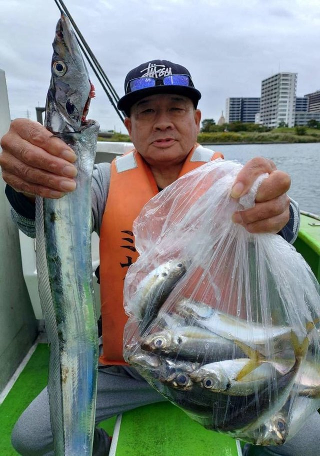 アジ(マアジ)・タチウオ