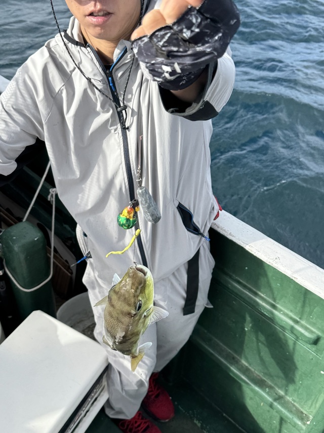 サバフク(シロサバフグ)